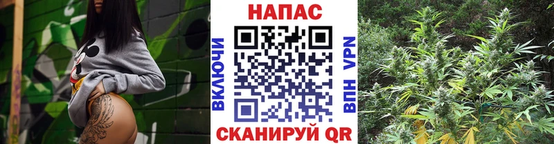 Продажа наркотиков Белая Холуница Метадон  APVP  ГАШ  Бошки Шишки 