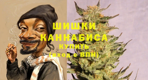 амф Балахна