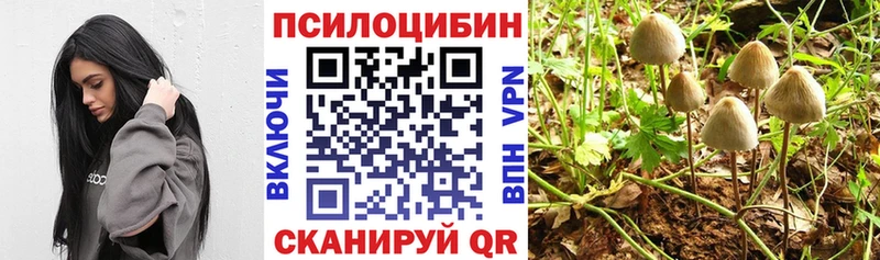 Псилоцибиновые грибы MAGIC MUSHROOMS Белая Холуница